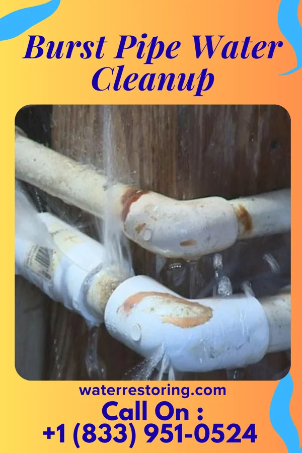 Burst Pipe Water Cleanup in Matthews, NC