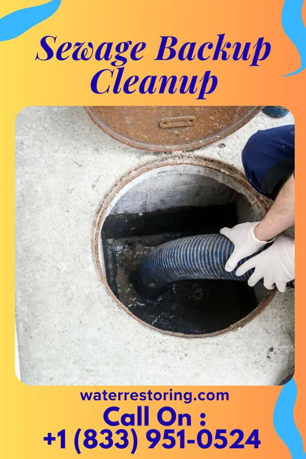 Sewage Backup Cleanup in Matthews, NC