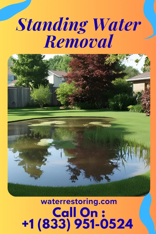 Standing Water Removal in Matthews, NC